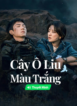 Cây Ô Liu Màu Trắng