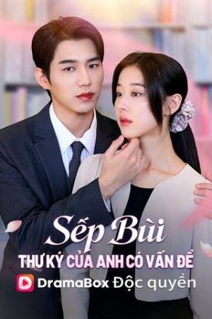 Sếp Bùi, Thư Ký Của Anh Có Vấn Đề