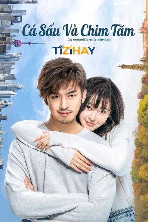Cá Sấu Và Chim Tăm